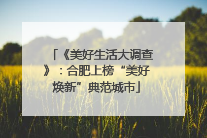 《美好生活大调查》：合肥上榜“美好焕新”典范城市