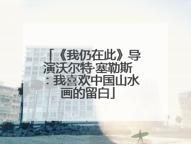《我仍在此》导演沃尔特·塞勒斯：我喜欢中国山水画的留白