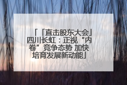 「直击股东大会」四川长虹：正视“内卷”竞争态势 加快培育发展新动能