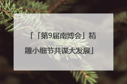 「第9届南博会」精雕小细节共谋大发展
