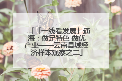 「一线看发展」通海：做足特色 做优产业——云南县域经济样本观察之二