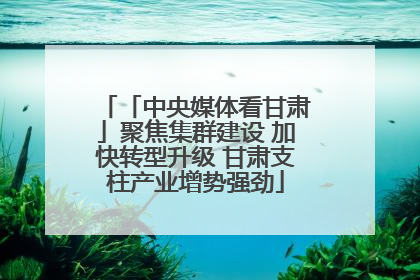 「中央媒体看甘肃」聚焦集群建设 加快转型升级 甘肃支柱产业增势强劲