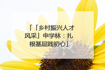 「乡村振兴人才风采」申学林：扎根基层践初心
