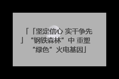 「坚定信心 实干争先」“钢铁森林”中 重塑“绿色”火电基因