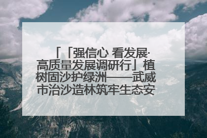 「强信心 看发展·高质量发展调研行」植树固沙护绿洲——武威市治沙造林筑牢生态安全屏障见闻
