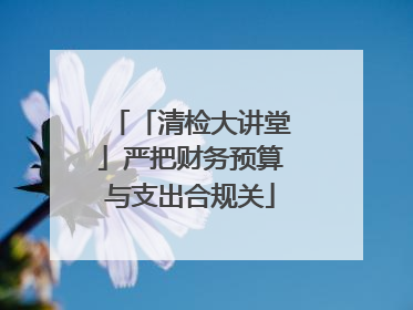 「清检大讲堂」严把财务预算与支出合规关