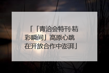 「青洽会特刊·精彩瞬间」高原心跳 在开放合作中澎湃