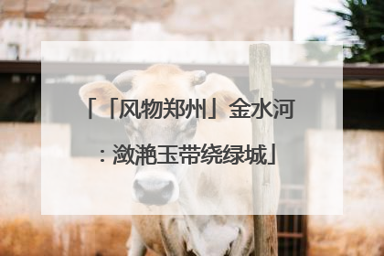 「风物郑州」金水河：潋滟玉带绕绿城