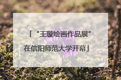 “王璇绘画作品展”在信阳师范大学开幕