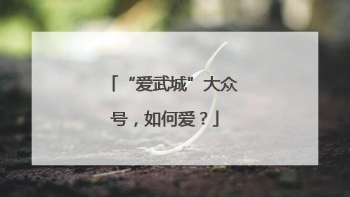 “爱武城”大众号，如何爱？