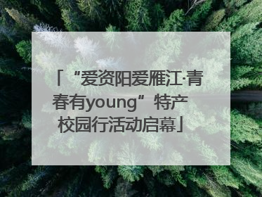 “爱资阳爱雁江·青春有young”特产校园行活动启幕