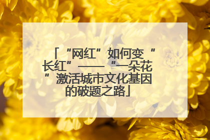 “网红”如何变“长红”——“一朵花”激活城市文化基因的破题之路