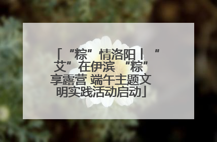 “粽”情洛阳丨“艾”在伊滨 “粽”享露营 端午主题文明实践活动启动