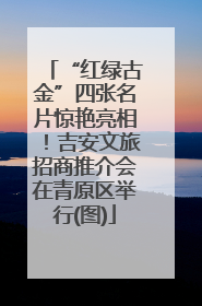 “红绿古金”四张名片惊艳亮相！吉安文旅招商推介会在青原区举行(图)