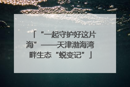 “一起守护好这片海”——天津渤海湾畔生态“蜕变记”