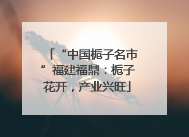 “中国栀子名市”福建福鼎：栀子花开，产业兴旺