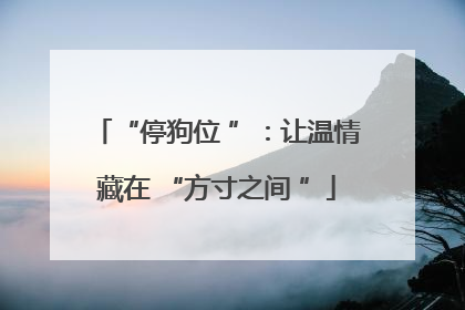 “停狗位 ”：让温情藏在 “方寸之间 ”
