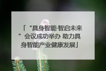 “具身智能·智启未来”会议成功举办 助力具身智能产业健康发展