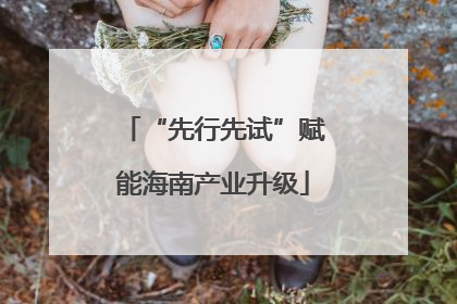 “先行先试”赋能海南产业升级