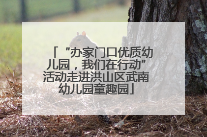 “办家门口优质幼儿园，我们在行动”活动走进洪山区武南幼儿园童趣园