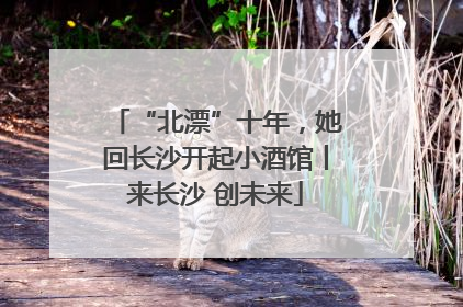 “北漂”十年，她回长沙开起小酒馆丨来长沙 创未来