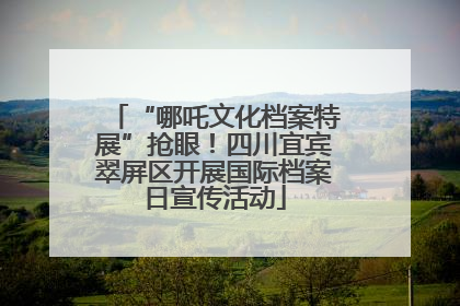 “哪吒文化档案特展”抢眼！四川宜宾翠屏区开展国际档案日宣传活动