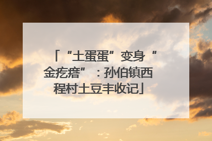 “土蛋蛋”变身“金疙瘩”：孙伯镇西程村土豆丰收记