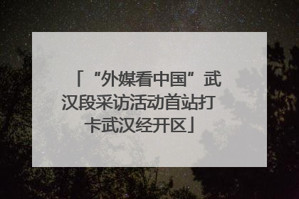 “外媒看中国”武汉段采访活动首站打卡武汉经开区