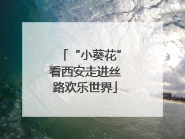 “小葵花”看西安走进丝路欢乐世界