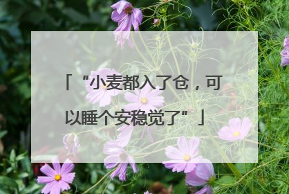 “小麦都入了仓，可以睡个安稳觉了”