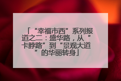 “幸福市西”系列报道之二：盛华路，从“卡脖路”到“景观大道”的华丽转身