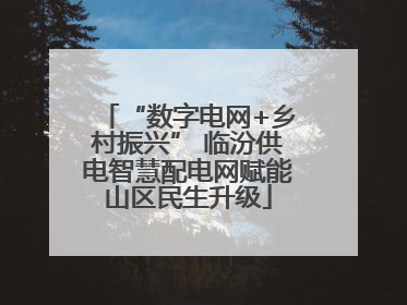 “数字电网+乡村振兴” 临汾供电智慧配电网赋能山区民生升级