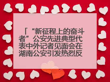 “新征程上的奋斗者”公安先进典型代表中外记者见面会在湖南公安引发热烈反响(二)