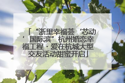 “浙里幸福荟‘芯动’国际滨”杭州婚恋幸福工程・爱在杭城大型交友活动甜蜜开启