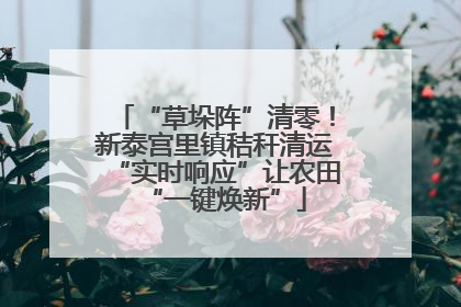 “草垛阵”清零！新泰宫里镇秸秆清运“实时响应”让农田“一键焕新”