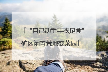 “自己动手丰衣足食”矿区闲置荒地变菜园