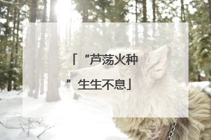 “芦荡火种”生生不息