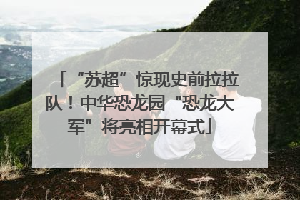 “苏超”惊现史前拉拉队！中华恐龙园“恐龙大军”将亮相开幕式