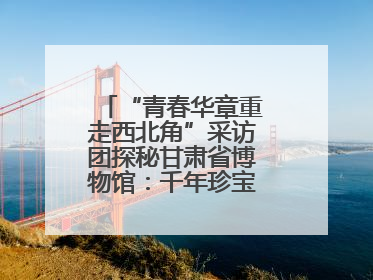 “青春华章重走西北角”采访团探秘甘肃省博物馆：千年珍宝诉说丝路辉煌
