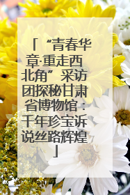 “青春华章·重走西北角”采访团探秘甘肃省博物馆：千年珍宝诉说丝路辉煌