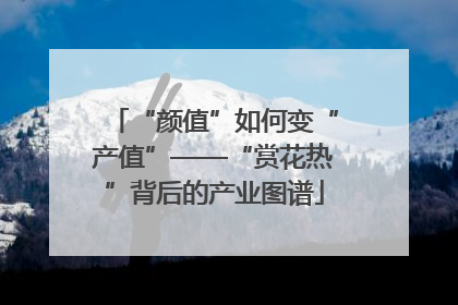 “颜值”如何变“产值”——“赏花热”背后的产业图谱