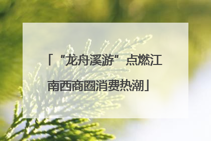 “龙舟溪游”点燃江南西商圈消费热潮