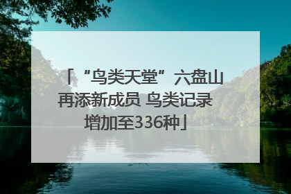 “鸟类天堂”六盘山再添新成员 鸟类记录增加至336种