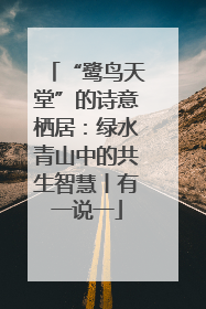 “鹭鸟天堂”的诗意栖居：绿水青山中的共生智慧丨有一说一