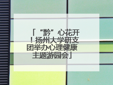 “黔”心花开！扬州大学研支团举办心理健康主题游园会
