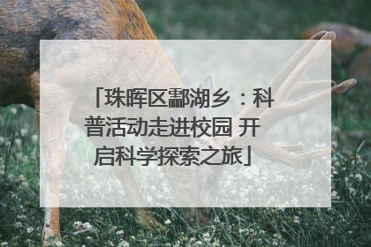 珠晖区酃湖乡：科普活动走进校园 开启科学探索之旅