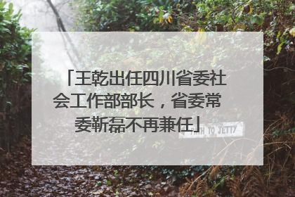 王乾出任四川省委社会工作部部长，省委常委靳磊不再兼任