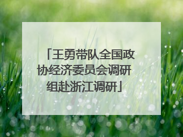 王勇带队全国政协经济委员会调研组赴浙江调研
