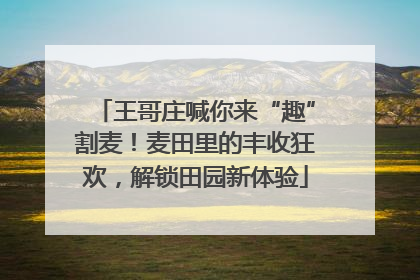 王哥庄喊你来“趣”割麦！麦田里的丰收狂欢，解锁田园新体验