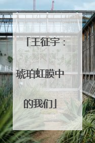 王征宇：琥珀虹膜中的我们